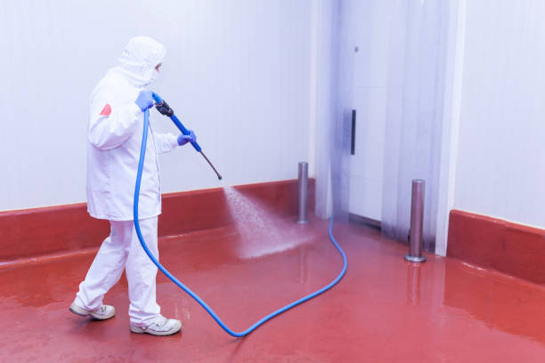 Best Boat and Dock Cleaning  in University, FL