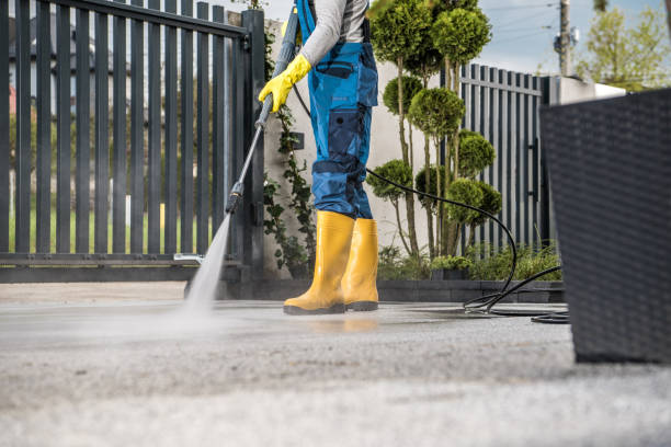 Best Building Exterior Washing  in University, FL